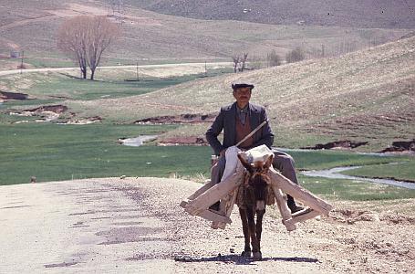 Reisen auf dem Esel