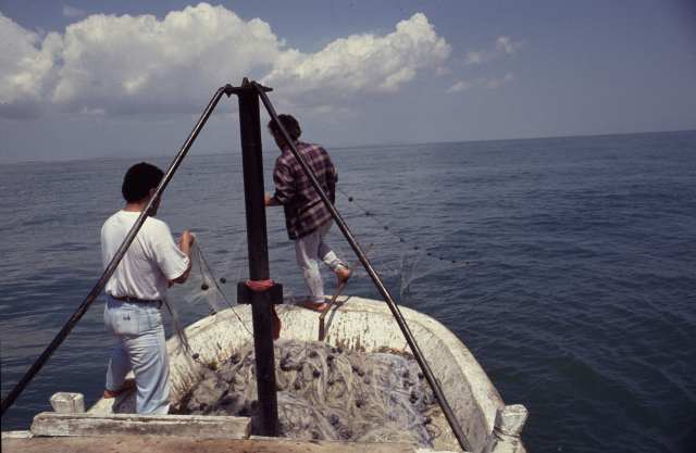 Fischfang auf dem Schwarzen Meer