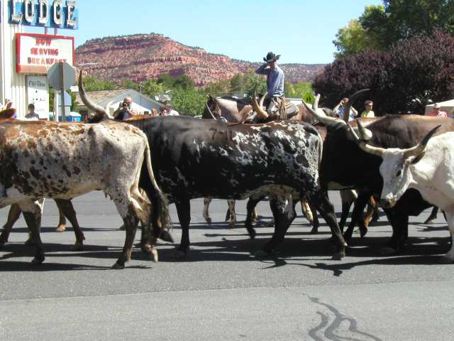 Volksfest mit Cowboys, Kutschen, Pferden