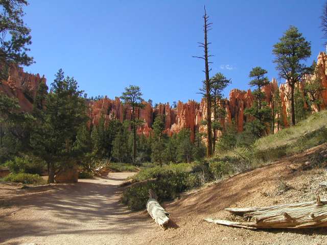 Wanderung durch den Bryce Canyon