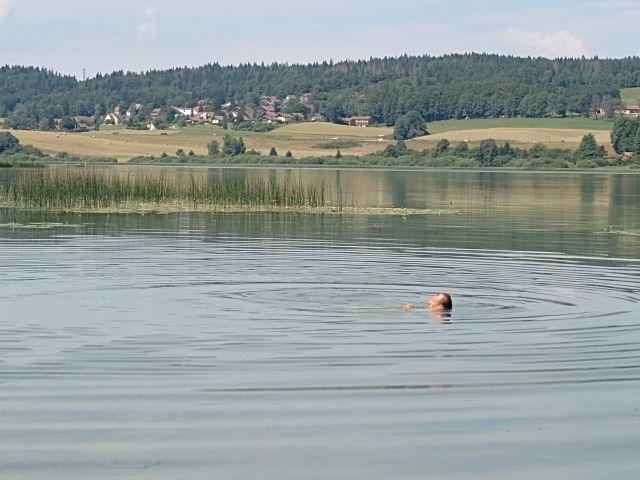 Herbert im Lac de Saint-Point